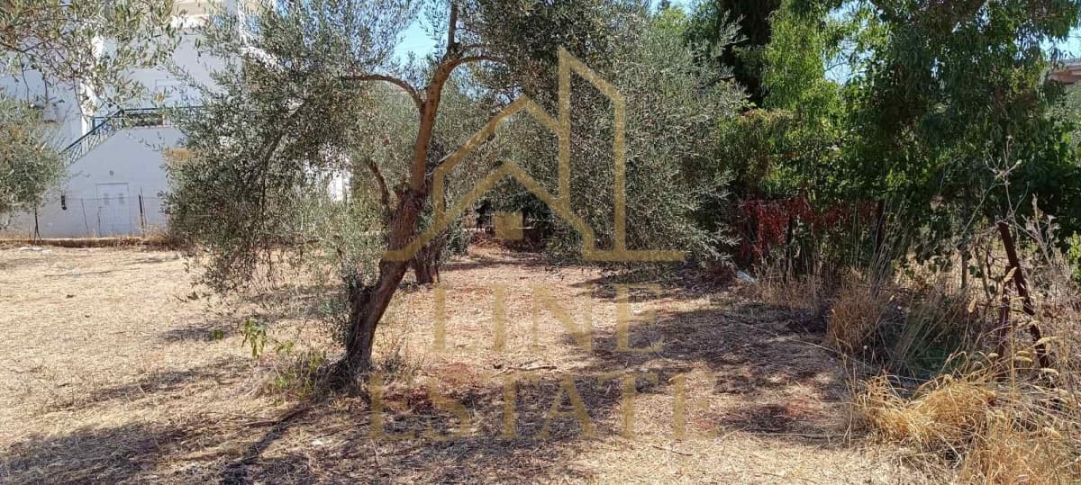 Οικόπεδο στην Κέντρο, Μαραθώνας — Φωτογραφία 10 από 11