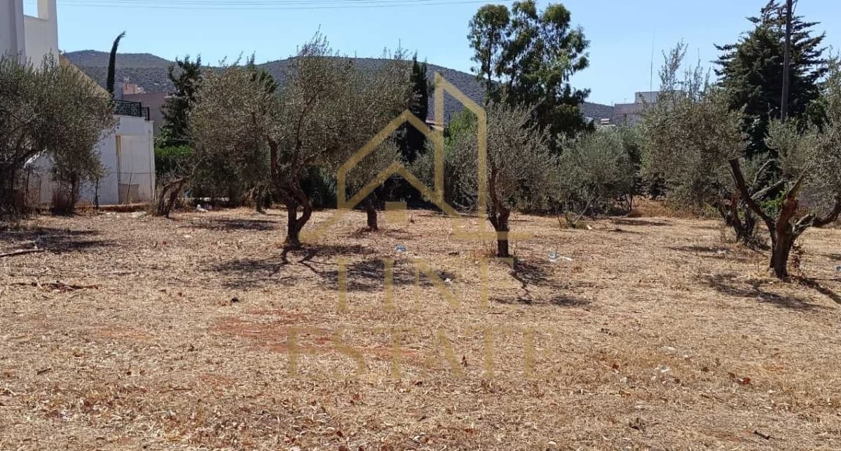 Οικόπεδο στην Κέντρο, Μαραθώνας — Φωτογραφία 3 από 11