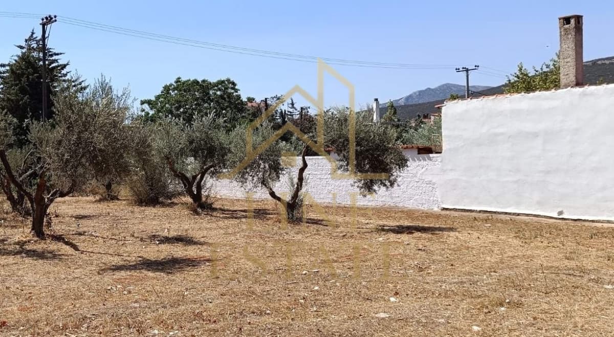 Οικόπεδο στην Κέντρο, Μαραθώνας — Φωτογραφία 4 από 11