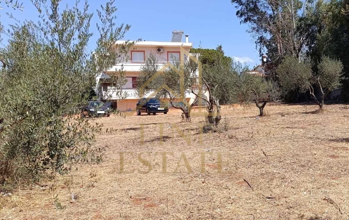 Οικόπεδο στην Κέντρο, Μαραθώνας — Φωτογραφία 5 από 11