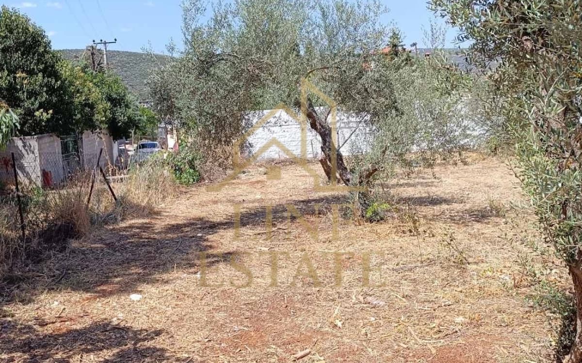 Οικόπεδο στην Κέντρο, Μαραθώνας — Φωτογραφία 7 από 11