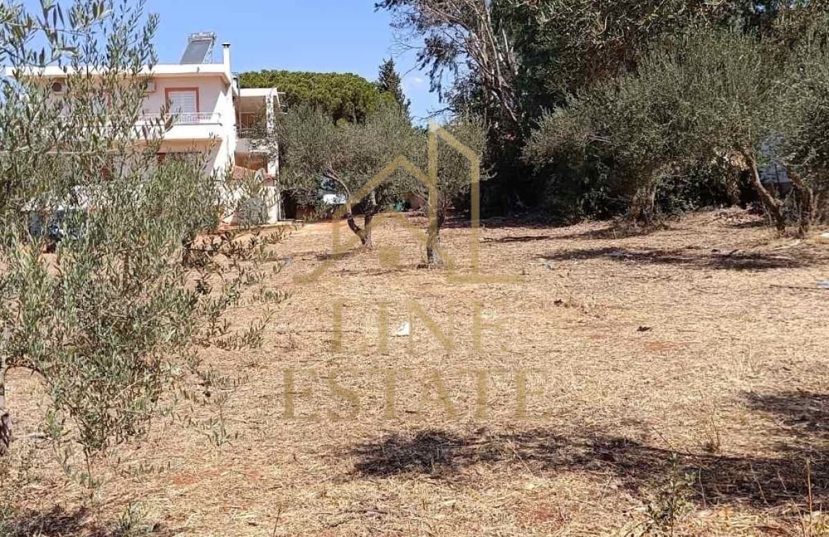 Οικόπεδο στην Κέντρο, Μαραθώνας — Φωτογραφία 6 από 11