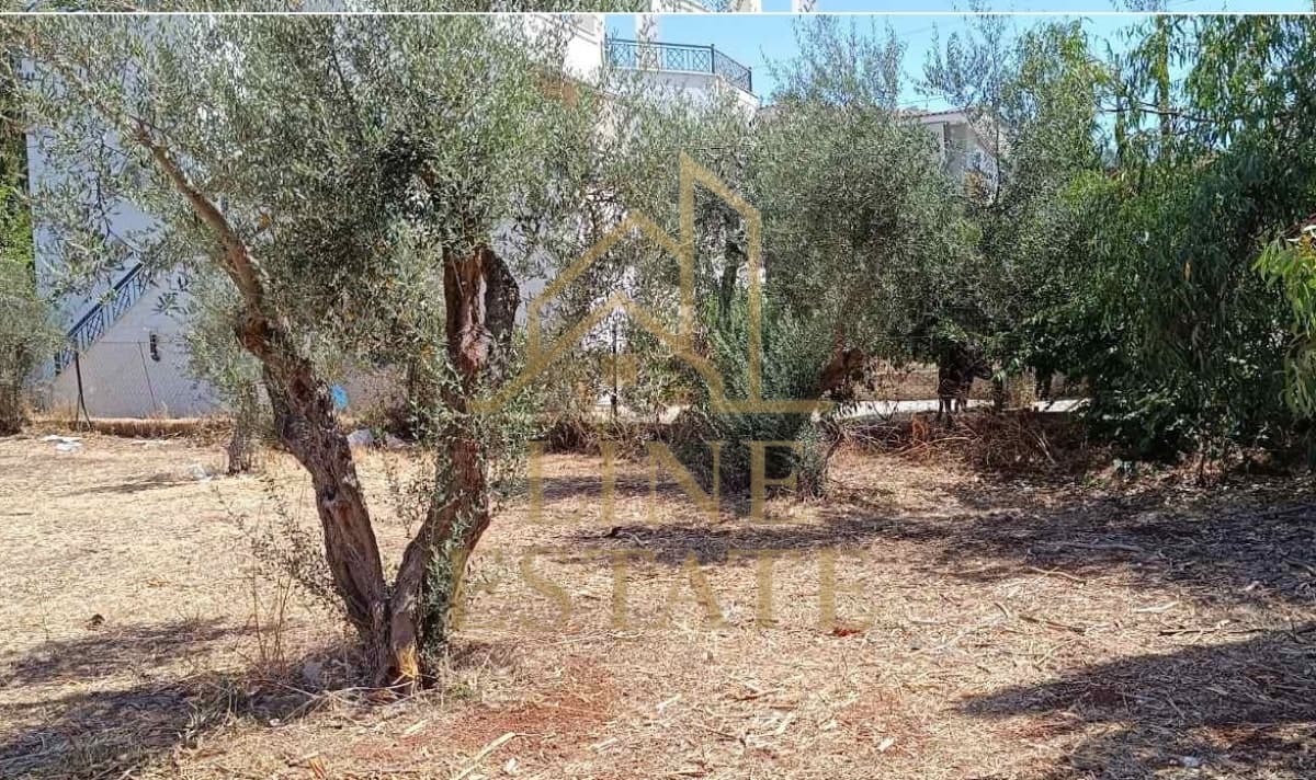 Οικόπεδο στην Κέντρο, Μαραθώνας — Φωτογραφία 11 από 11