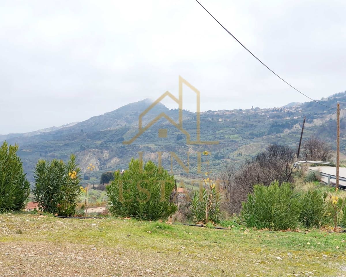 Μονοκατοικία στην Εβροστίνα, Ευρωστίνη — Φωτογραφία 2 από 30
