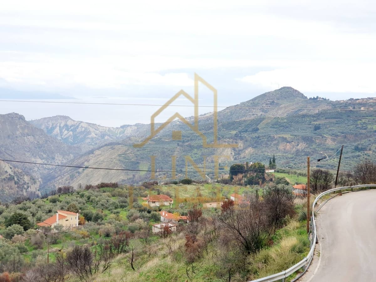 Μονοκατοικία στην Εβροστίνα, Ευρωστίνη — Φωτογραφία 25 από 25