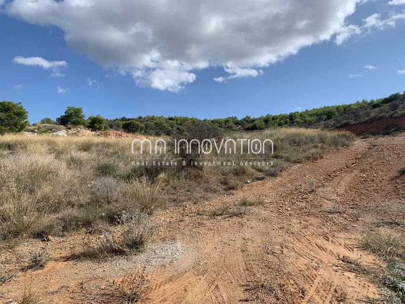 Building Plot in Tsami, Salamina — Photo 1 of 3