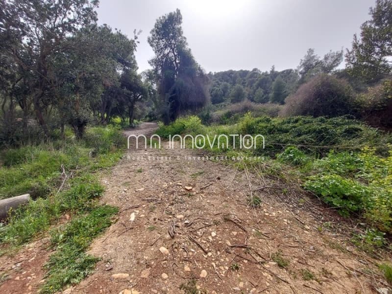 Οικόπεδο στην Κεφαλάρι, Κηφισιά