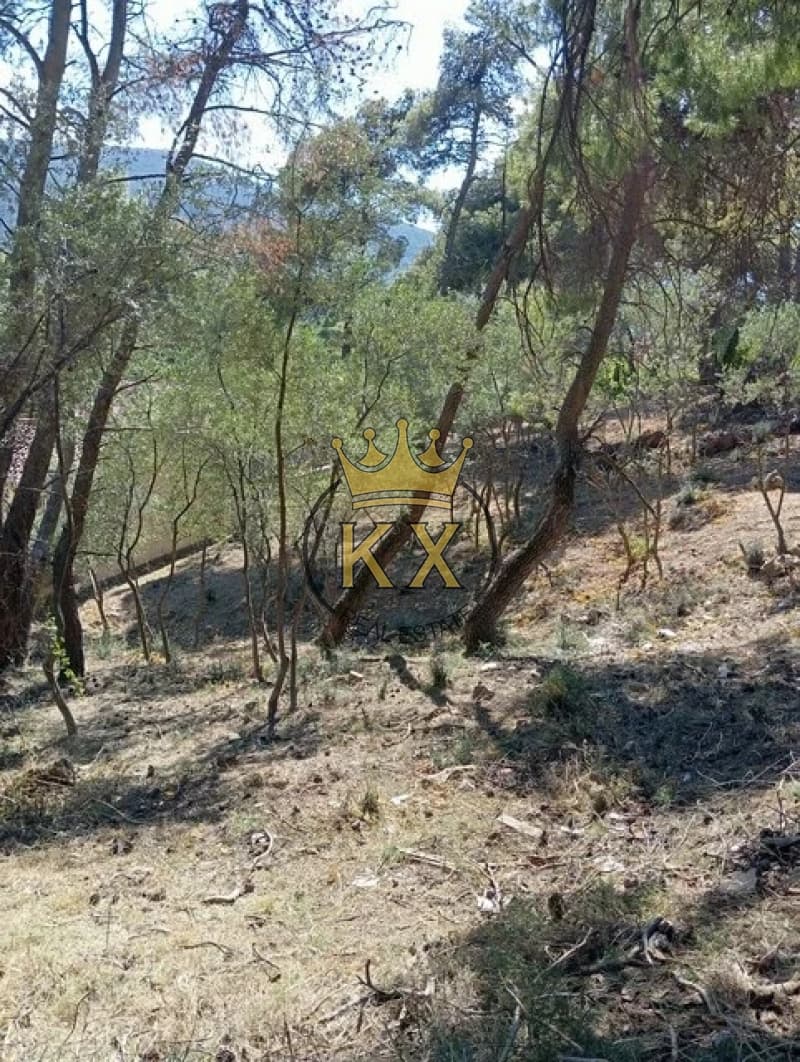 Building Plot in Rodopoli, Rodopoli