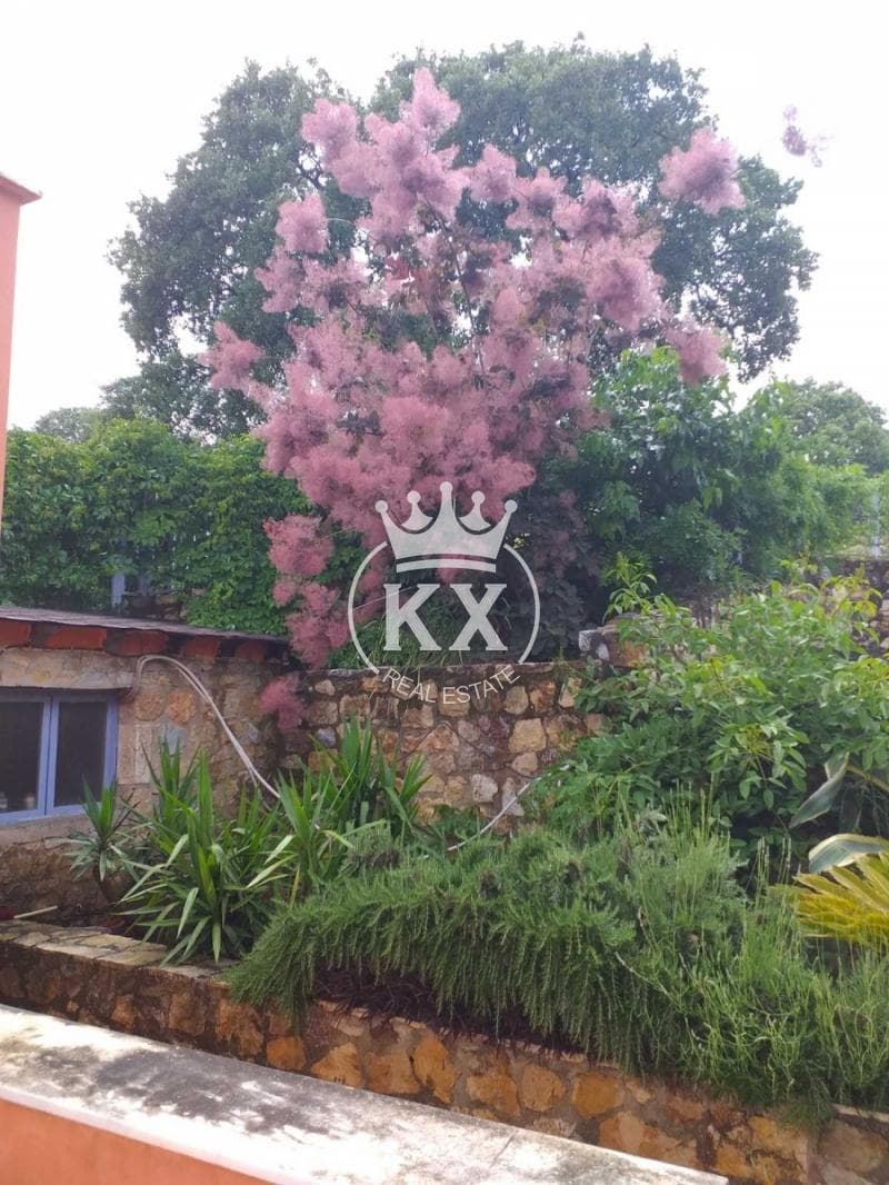 House in Kapandriti, Com. Kapandriti — Photo 14 of 24