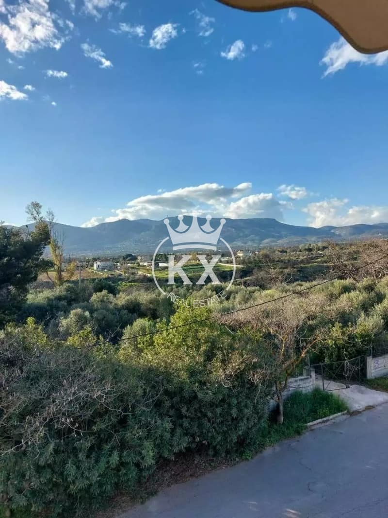 Μονοκατοικία στην Αδάμες (Οικισμός Πελοποννησίων), Κηφισιά — Φωτογραφία 2 από 14