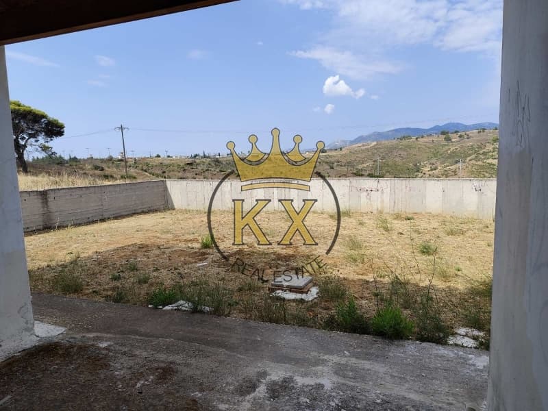 House in Dasos Kouremenou, Agios Stefanos — Photo 5 of 20