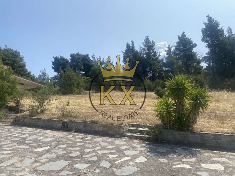 Οικόπεδο στην Καπιτένια, Άγιος Στέφανος — Φωτογραφία 2 από 3
