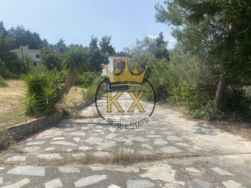 Οικόπεδο στην Καπιτένια, Άγιος Στέφανος — Φωτογραφία 1 από 3