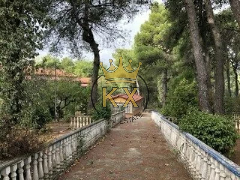 Οικόπεδο στην Καπιτένια, Άγιος Στέφανος — Φωτογραφία 3 από 6