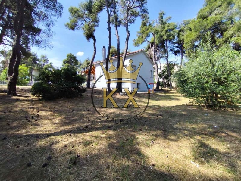 Οικόπεδο στην Δροσιά, Δροσιά — Φωτογραφία 5 από 16