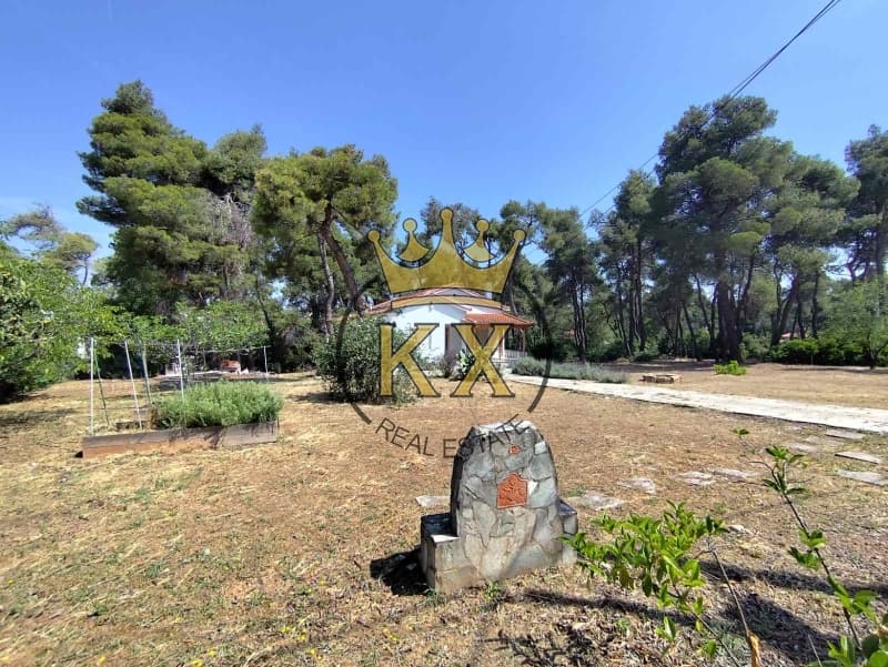 Οικόπεδο στην Δροσιά, Δροσιά — Φωτογραφία 14 από 16