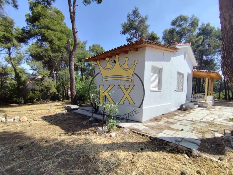 Οικόπεδο στην Δροσιά, Δροσιά — Φωτογραφία 15 από 16