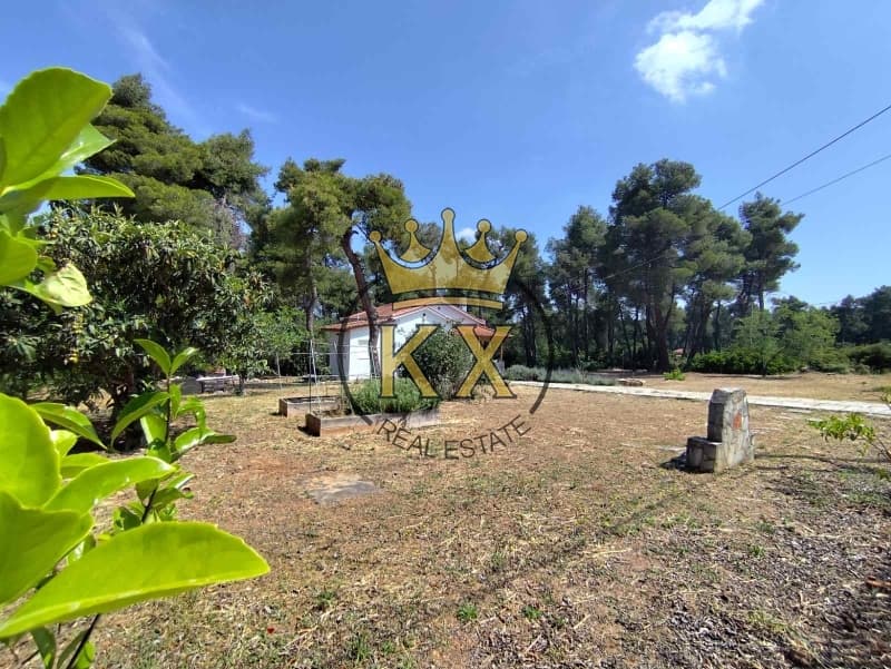 Οικόπεδο στην Δροσιά, Δροσιά — Φωτογραφία 1 από 16