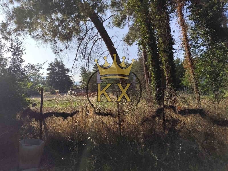 Building Plot in Fasideri, Anoixi — Photo 7 of 13