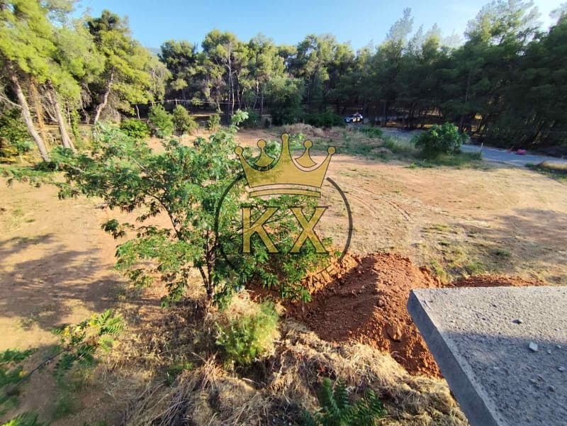 Building Plot in Fasideri, Anoixi — Photo 10 of 13