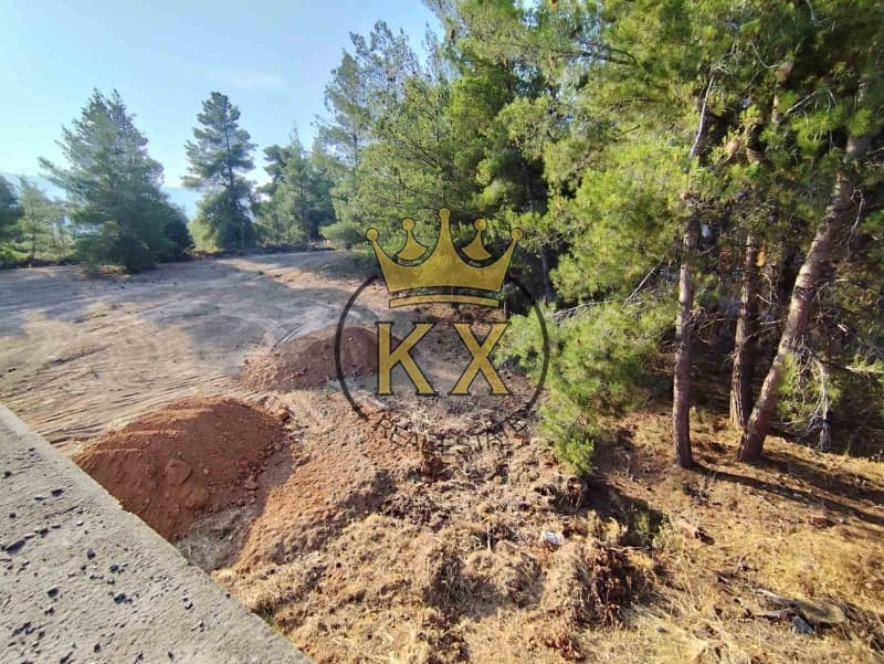 Building Plot in Fasideri, Anoixi — Photo 9 of 13