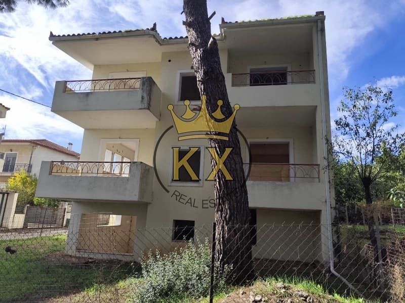 Μονοκατοικία στην Δάσος Κουρεμένου, Άγιος Στέφανος — Φωτογραφία 3 από 4