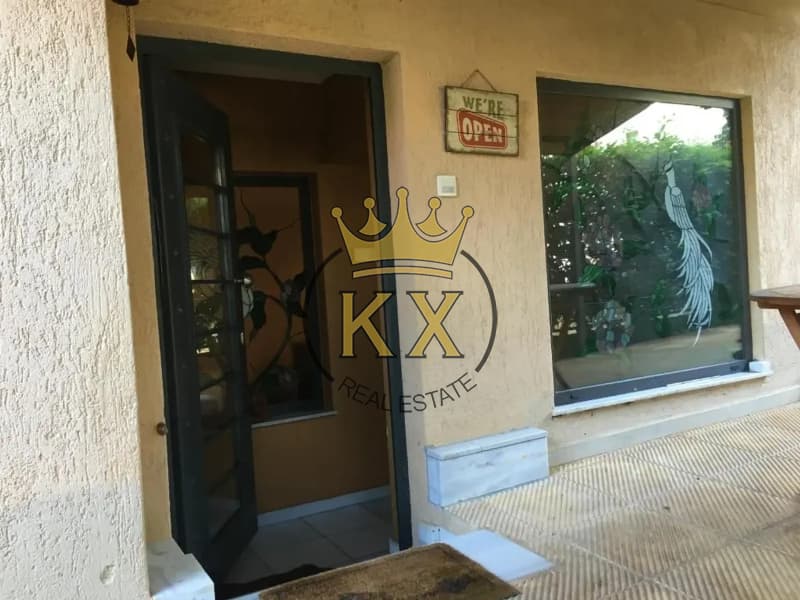 Διαμέρισμα στην Αγία Παρασκευή, Άνοιξη — Φωτογραφία 23 από 23