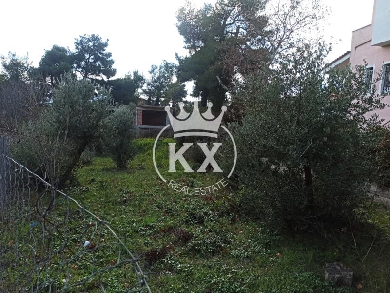 Οικόπεδο στην Δάσος Κουρεμένου, Άγιος Στέφανος — Φωτογραφία 2 από 7