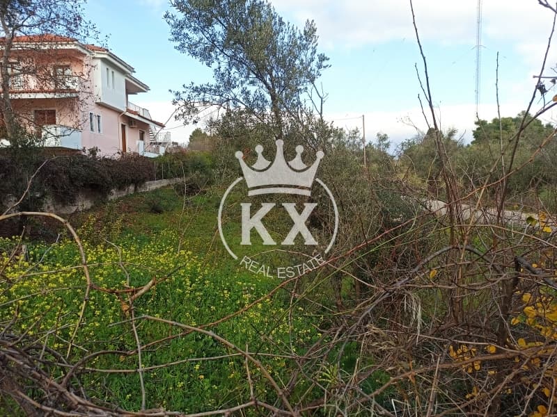Οικόπεδο στην Δάσος Κουρεμένου, Άγιος Στέφανος — Φωτογραφία 4 από 7
