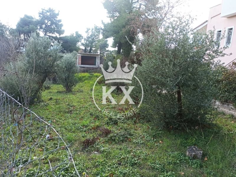 Οικόπεδο στην Δάσος Κουρεμένου, Άγιος Στέφανος — Φωτογραφία 3 από 7