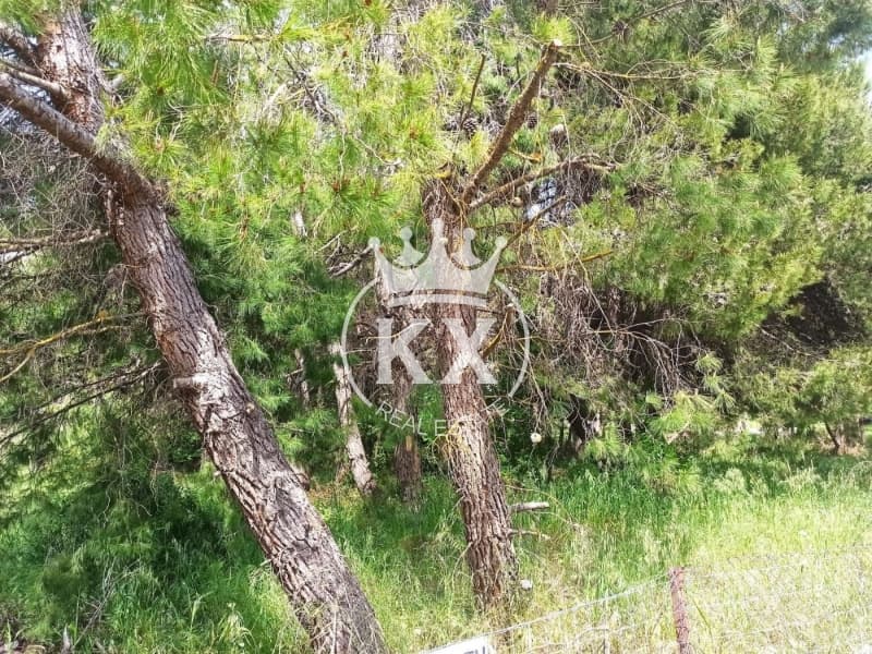 Οικόπεδο στην Δροσιά, Δροσιά