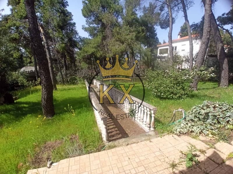 Μονοκατοικία στην Καπιτένια, Άγιος Στέφανος — Φωτογραφία 4 από 13