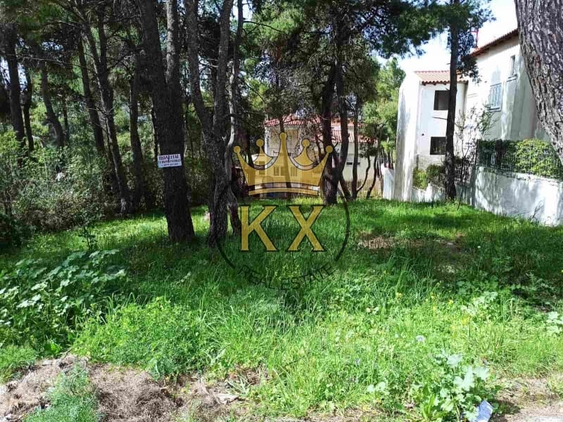 Μονοκατοικία στην Καπιτένια, Άγιος Στέφανος — Φωτογραφία 13 από 13
