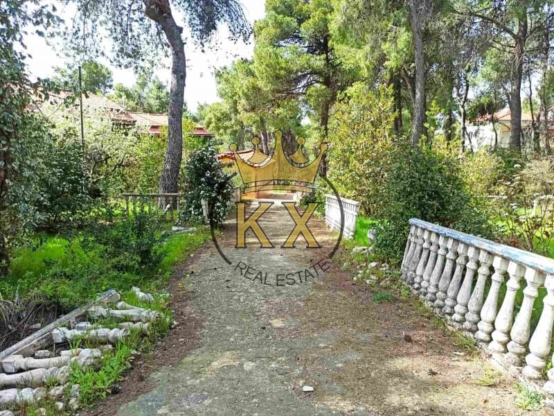 Μονοκατοικία στην Καπιτένια, Άγιος Στέφανος — Φωτογραφία 5 από 13