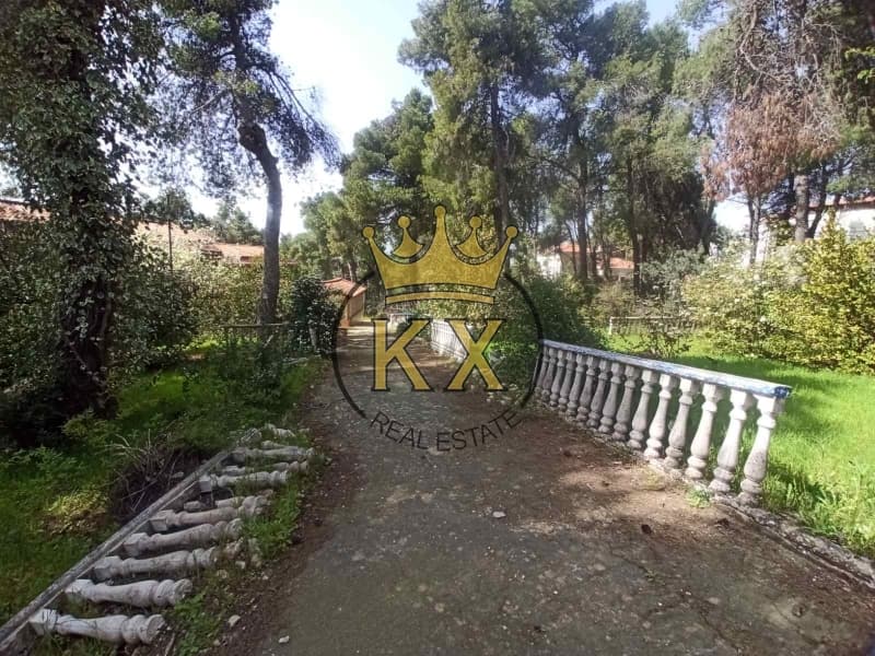 Μονοκατοικία στην Καπιτένια, Άγιος Στέφανος — Φωτογραφία 7 από 13
