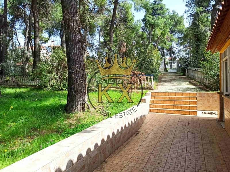 Μονοκατοικία στην Καπιτένια, Άγιος Στέφανος — Φωτογραφία 1 από 13