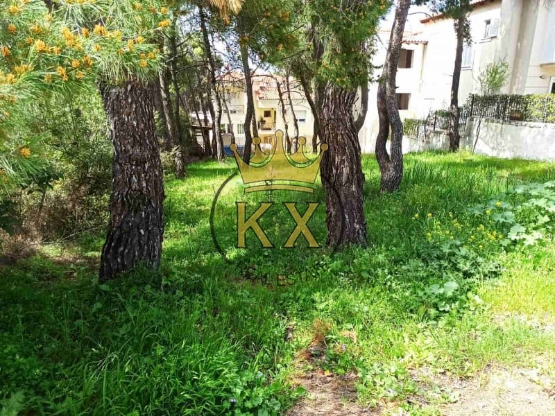 Μονοκατοικία στην Καπιτένια, Άγιος Στέφανος — Φωτογραφία 6 από 13