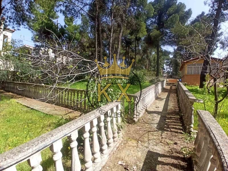 Μονοκατοικία στην Καπιτένια, Άγιος Στέφανος — Φωτογραφία 10 από 13