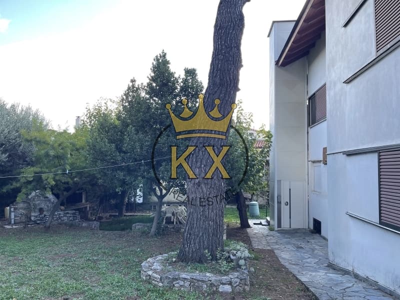 Apartment in Dasos Kouremenou, Agios Stefanos — Photo 12 of 20