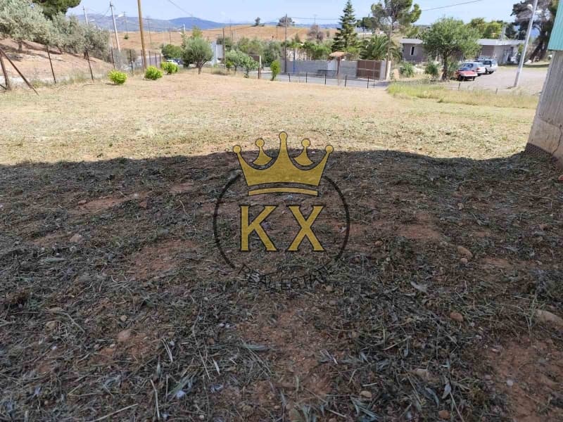 Μονοκατοικία στην Οικισμός Ποντίων, Άγιος Στέφανος — Φωτογραφία 2 από 2