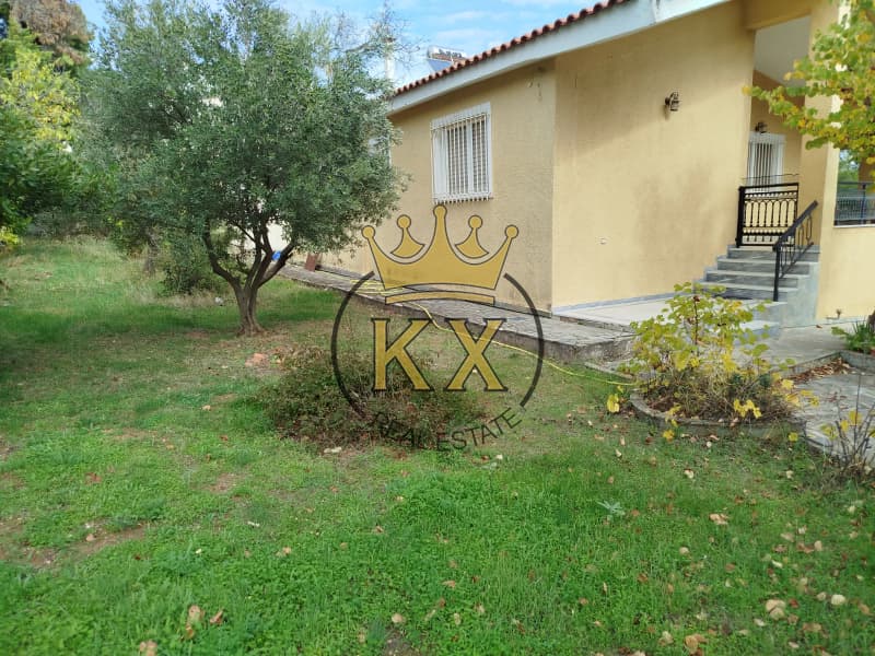 House in Krioneri, Krioneri — Photo 2 of 14