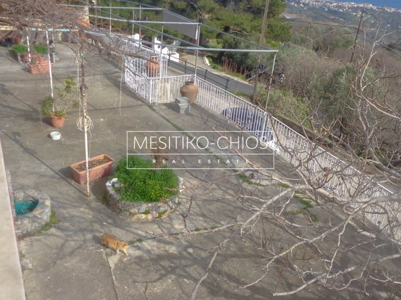 Κατάστημα στην Ομηρούπολη, Χίος — Φωτογραφία 12 από 20