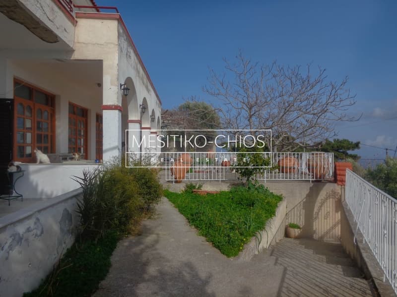 Κατάστημα στην Ομηρούπολη, Χίος — Φωτογραφία 11 από 20