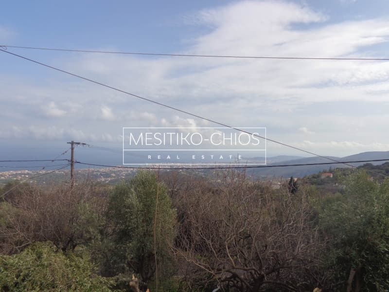 Κατάστημα στην Ομηρούπολη, Χίος — Φωτογραφία 10 από 20