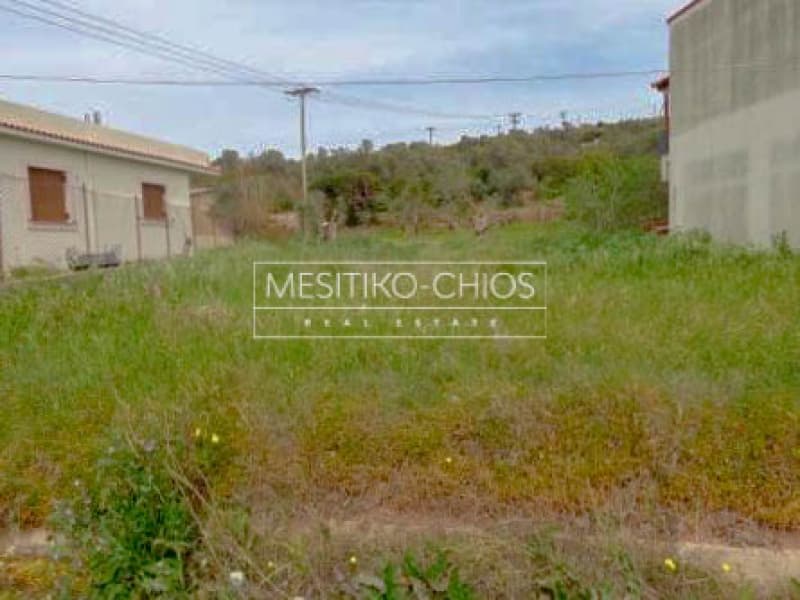 Οικόπεδο στην Άγιος Μηνάς, Χίος — Φωτογραφία 3 από 6