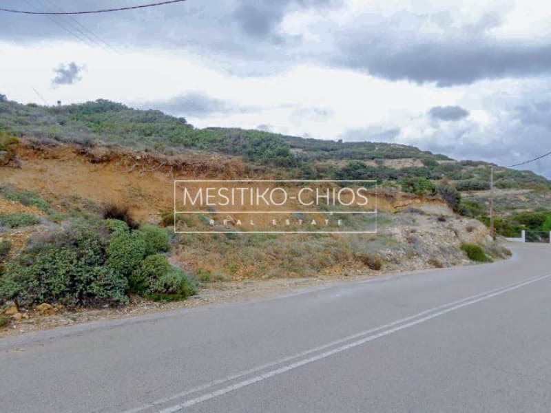Οικόπεδο στην Ιωνία, Χίος — Φωτογραφία 3 από 7