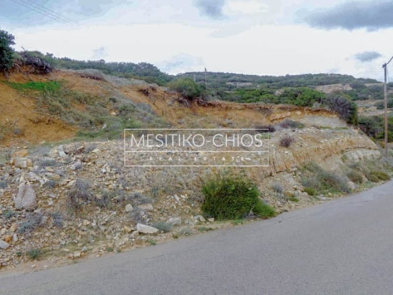 Οικόπεδο στην Ιωνία, Χίος — Φωτογραφία 5 από 7