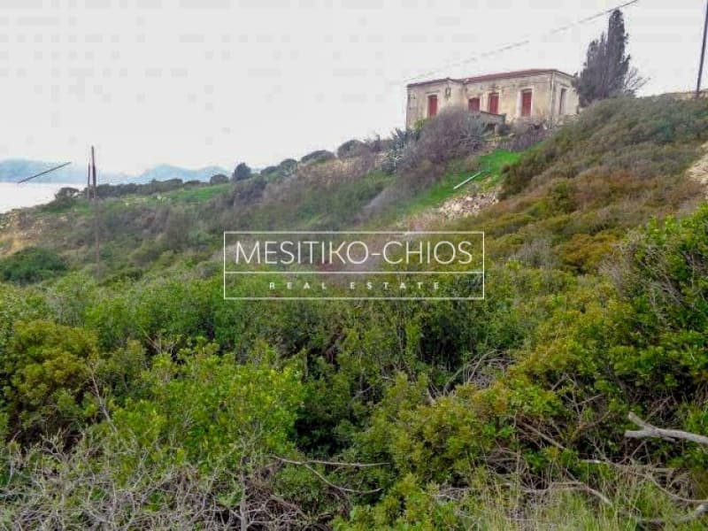 Οικόπεδο στην Ιωνία, Χίος — Φωτογραφία 7 από 7