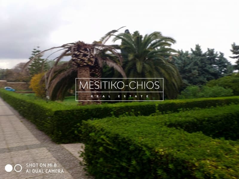 House in Agios Minas, Chios — Photo 6 of 25