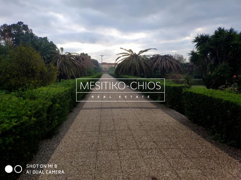 House in Agios Minas, Chios — Photo 7 of 25